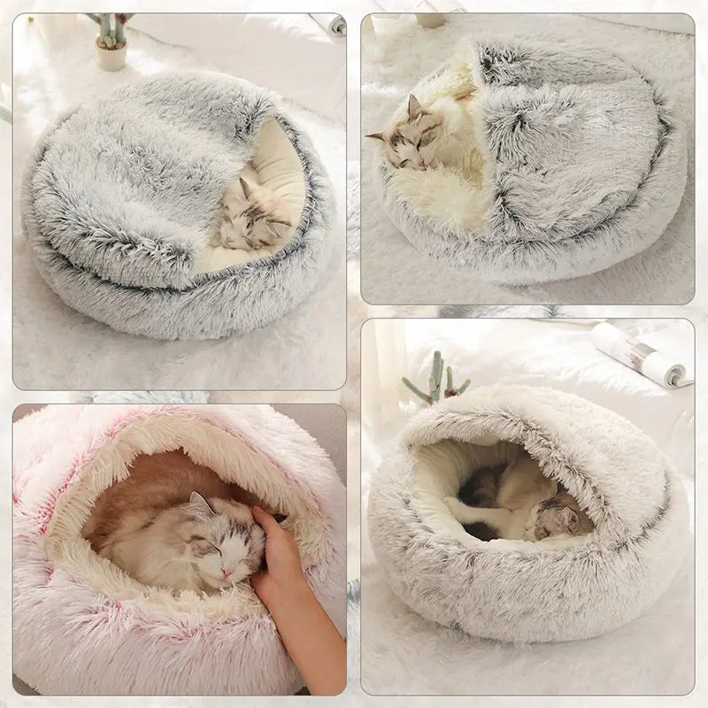 PawPlush