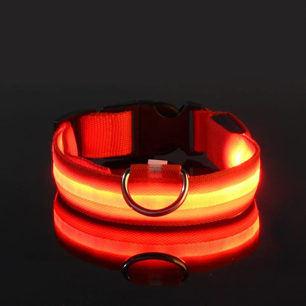 GloDog Collar