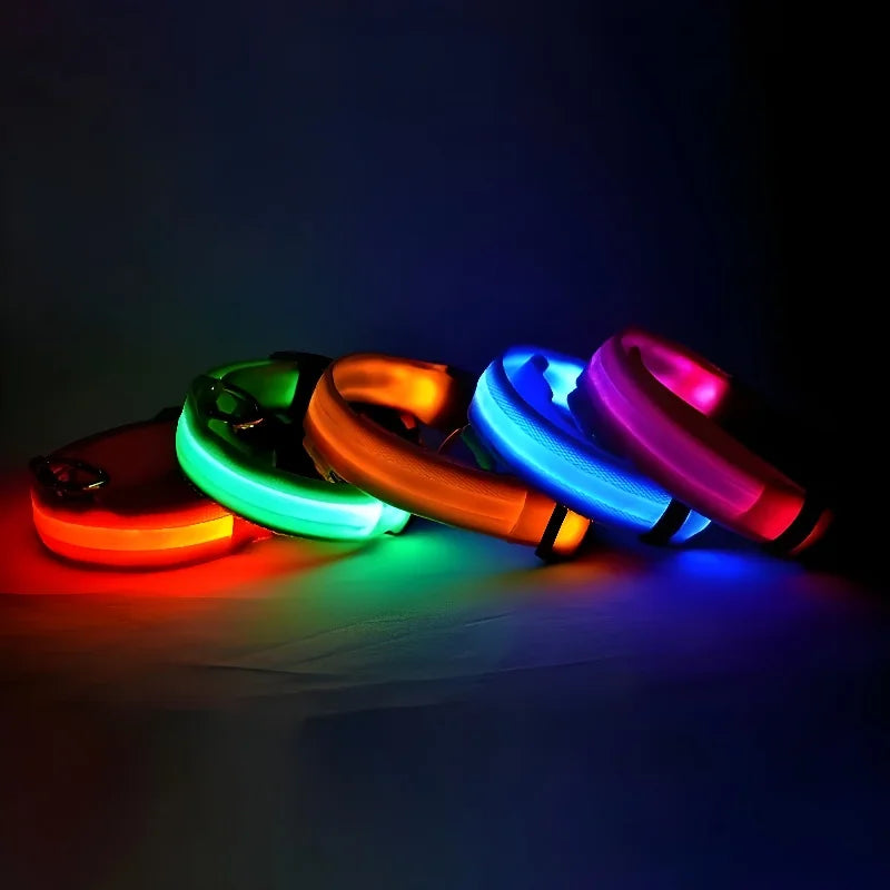 GloDog Collar