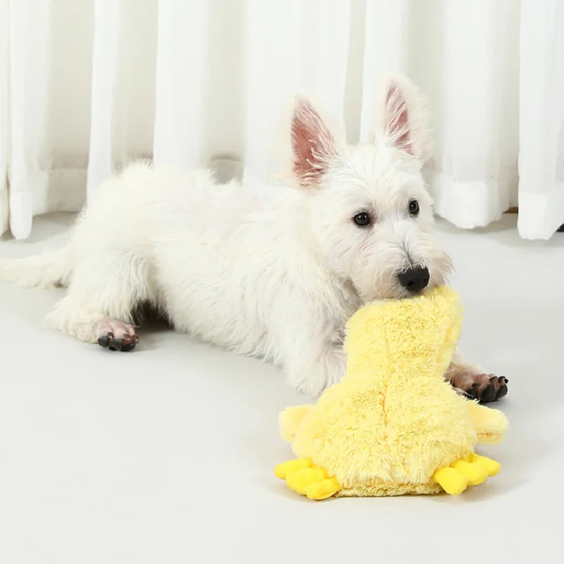 Squeaky Duck Dog Toy