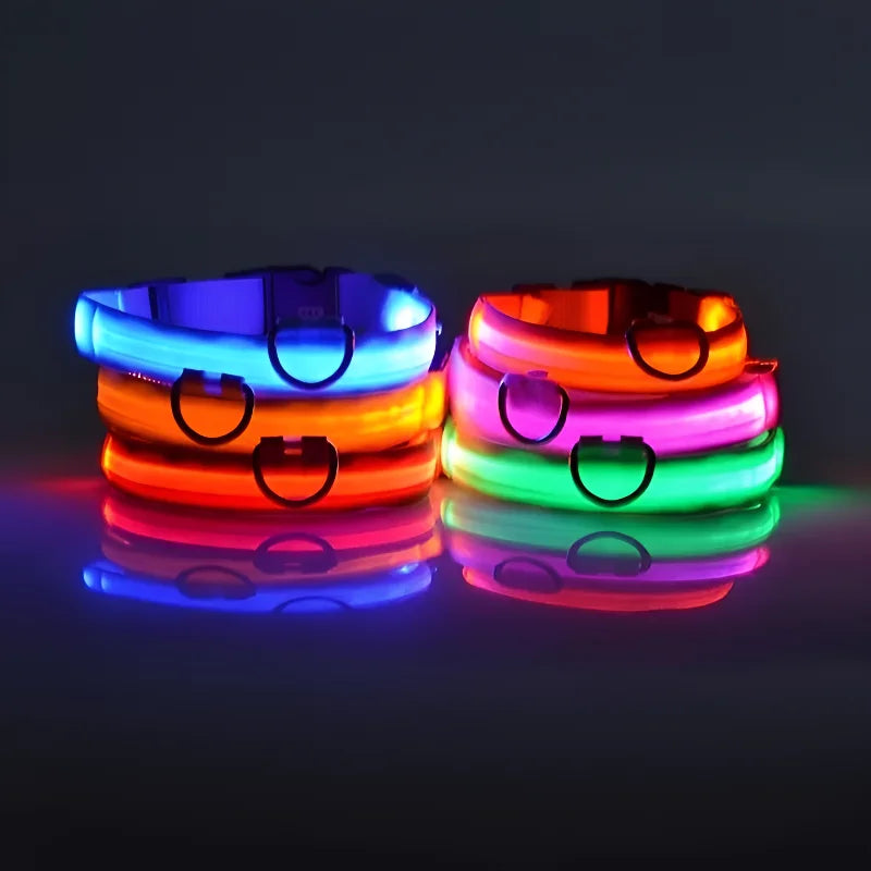 GloDog Collar