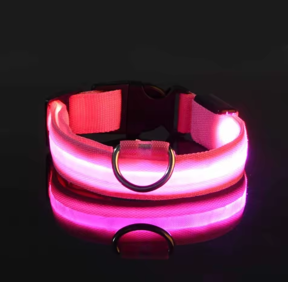 GloDog Collar