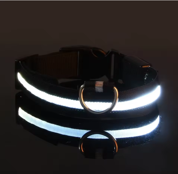 GloDog Collar