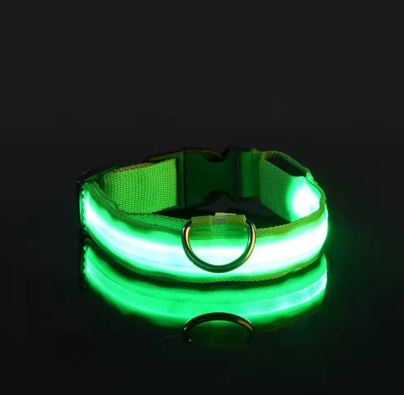 GloDog Collar