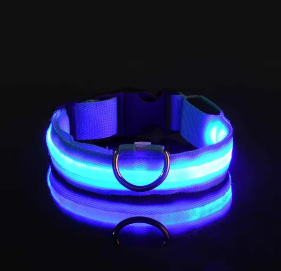 GloDog Collar