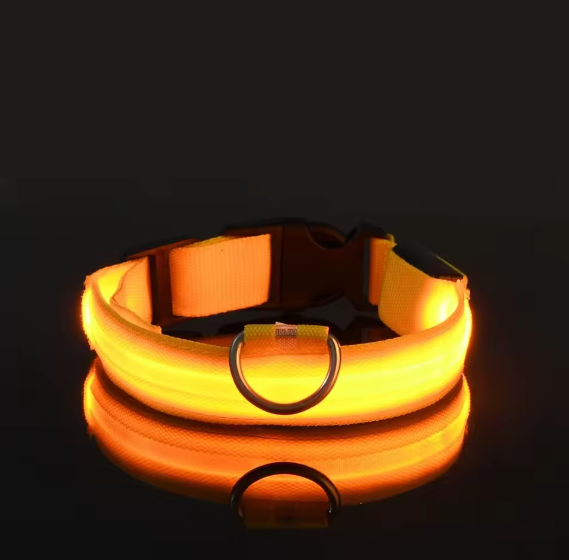 GloDog Collar