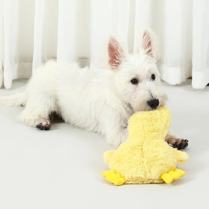 Squeaky Duck Dog Toy