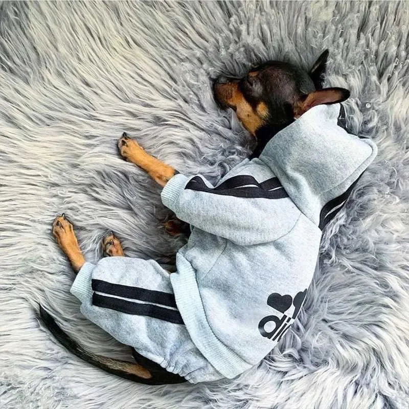 Adidog Cozy Dog Jumpsuit