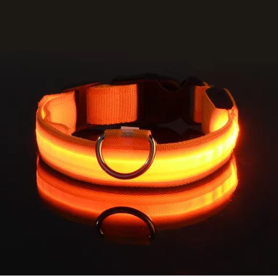 GloDog Collar