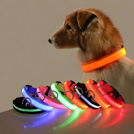 GloDog Collar